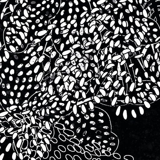 NIGHT JAGUAR – High-quality paper print. (Frame not included)