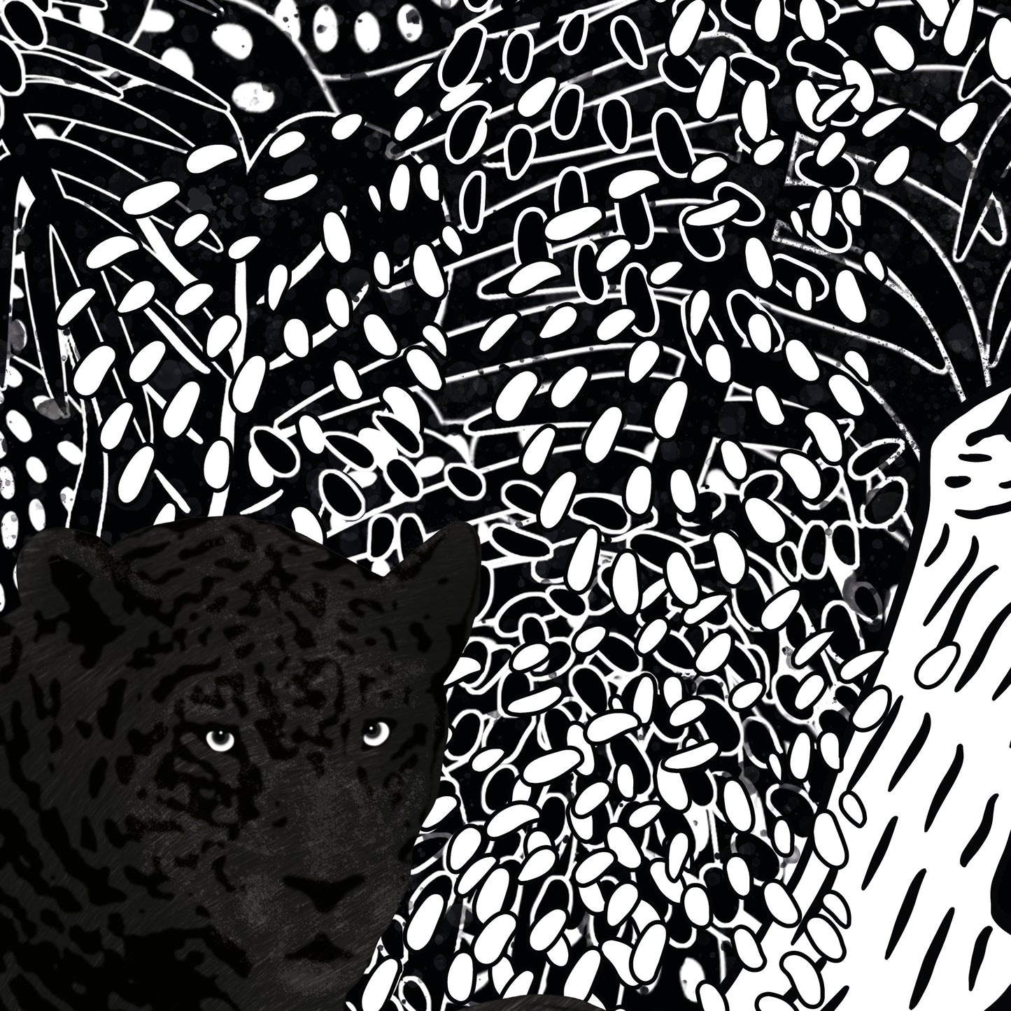 NIGHT JAGUAR – High-quality paper print. (Frame not included)