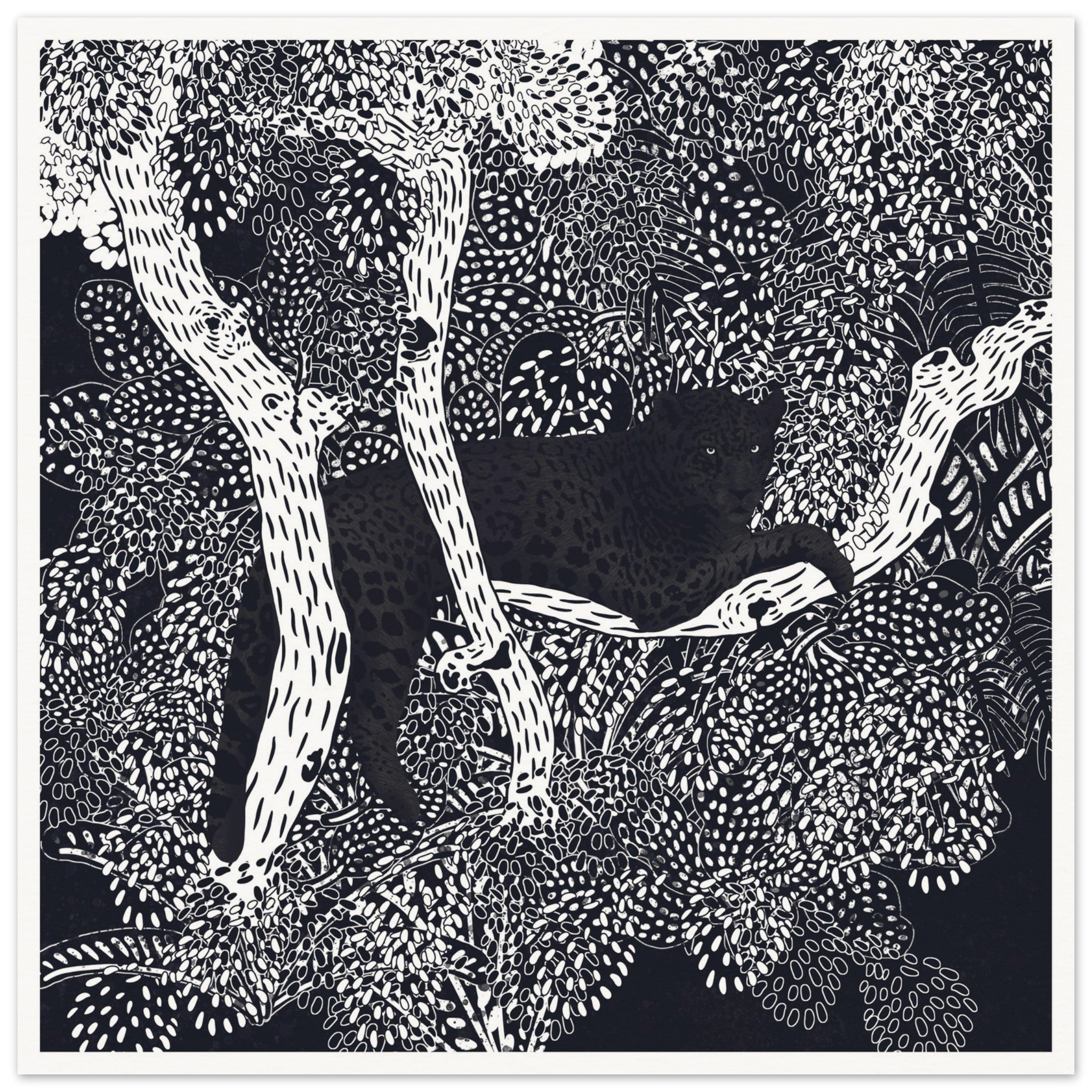 JAGUAR NOCTURNOPAPEL MATE SIN MARCO